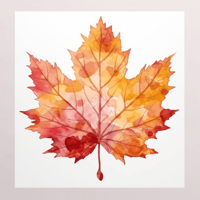 Autumn Maple Leaf series. Eight digital images for download - Vermont Country Digital