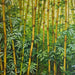 BambooOne- Digital pattern image for download - Vermont Country Digital