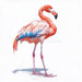 Flamingo - Single Image Digital Download of pink flamingo - Vermont Country Digital