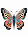 Gypsy Moth - Gypsy moth with colored wings, PNG, SVG, JPG images for download and arts. - Vermont Country Digital
