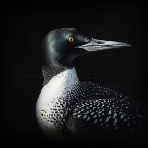 Loon Profile - Looking east -Digital Image for download - Vermont Country Digital