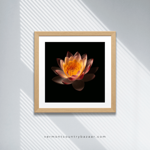 Lotus flower - Lotus and floral images. Single Image Digital Download - Vermont Country Digital