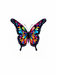 Monarch Butterfly - Colorful Butterfly, image of monarch, PNG,SVG,JPG images - Vermont Country Digital