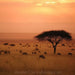 Savannah Sunset ai painting - Image of African savannah landscape Digital Download - Vermont Country Digital