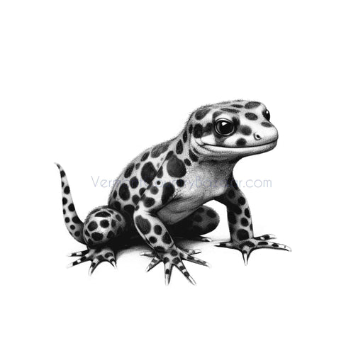 Spotted Salamander - Digital image of salamander for download - Vermont Country Digital